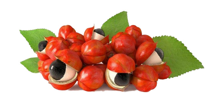 guaranà-ingrediente-naturale-efficace-sicuro