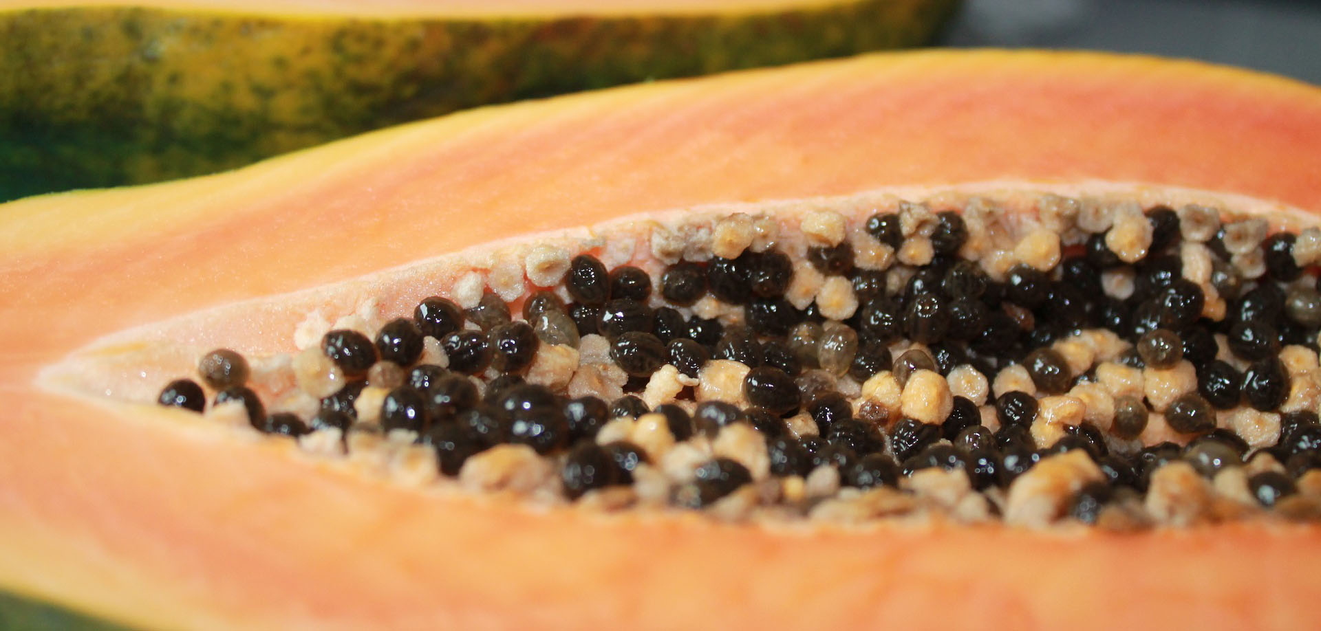 papaya proprietà