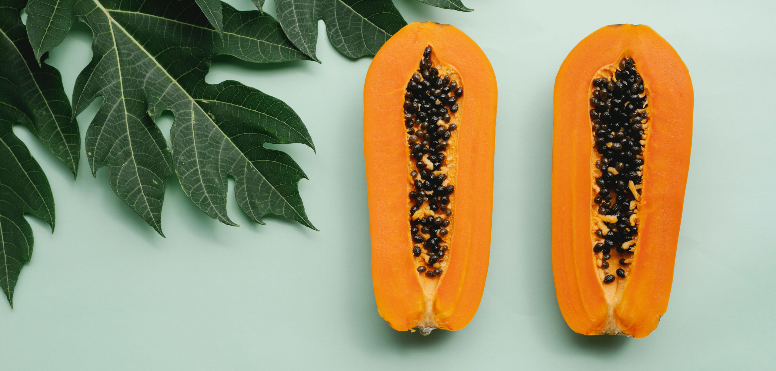 papaya