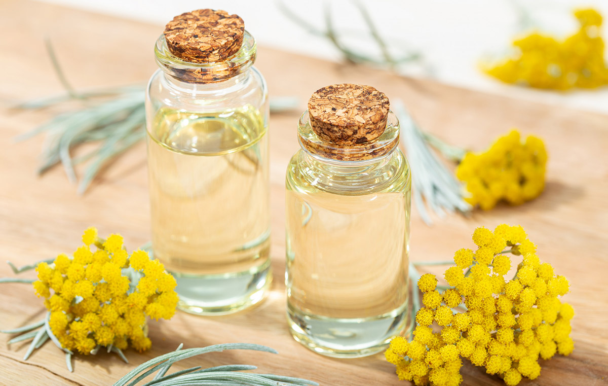 Elicriso olio essenziale