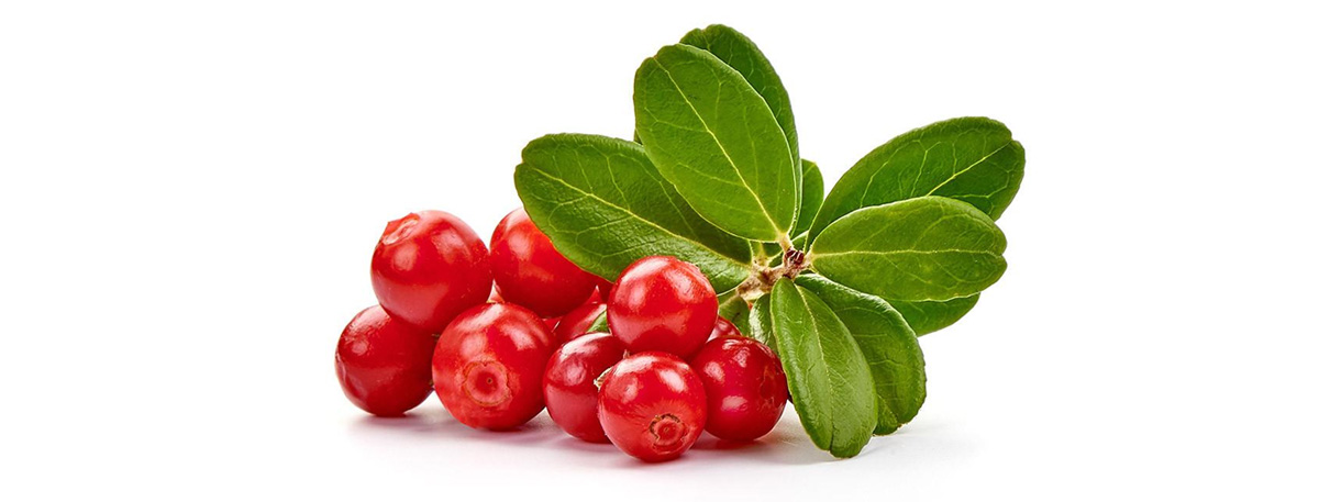 Uva ursina per cistite