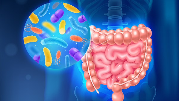 Probiotici: salute intestinale Probiotici: salute intestinale