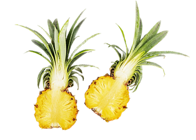 Bromelina Bromelina