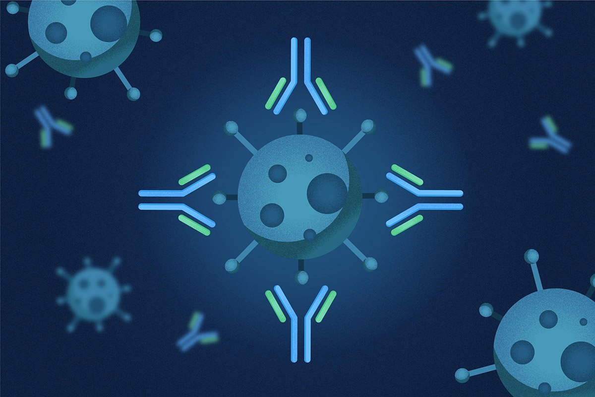 Immunocomplesso Immunocomplesso