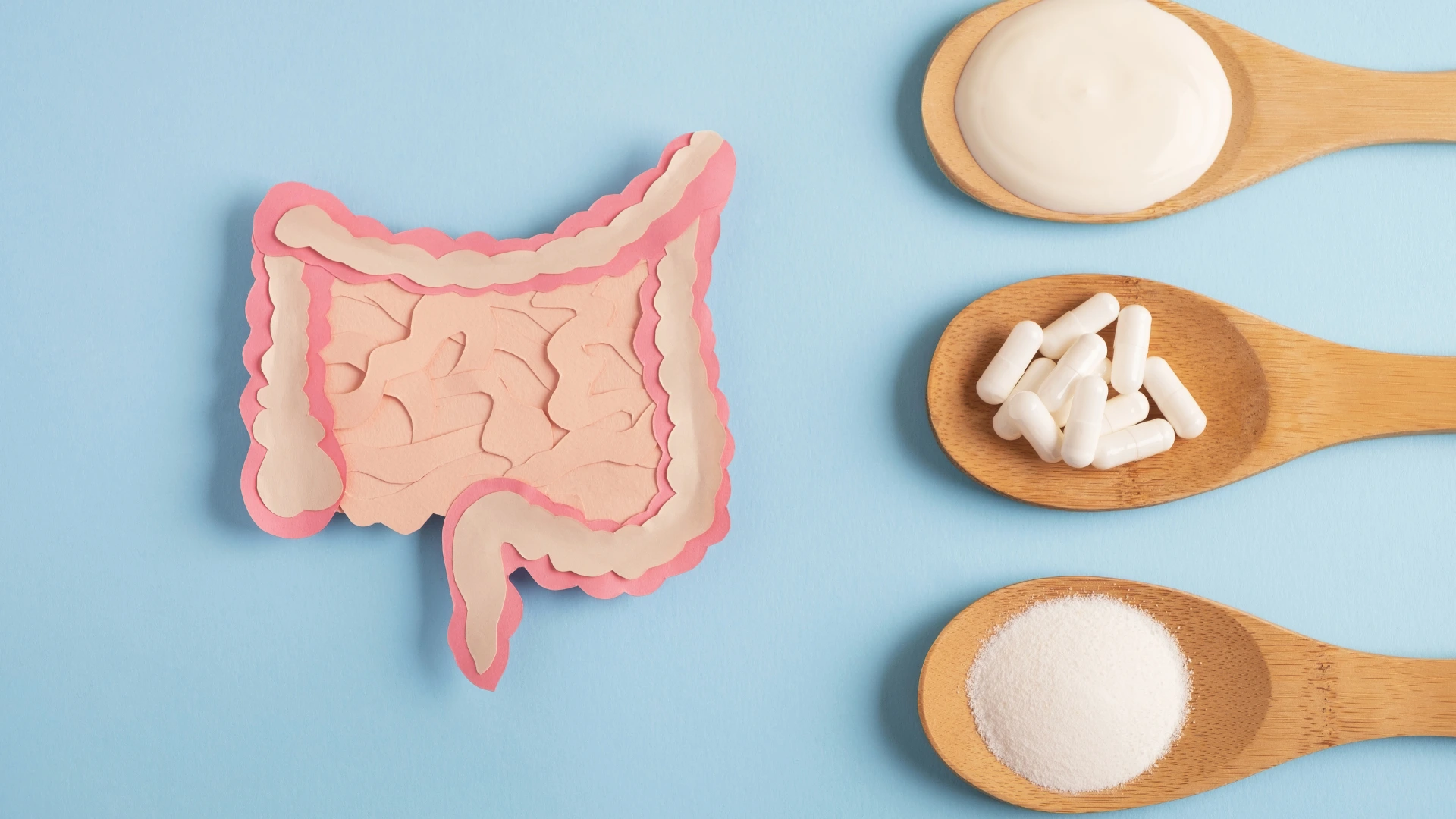 Lactobacillus Paracasei: Salute Intestinale by Solo Natura